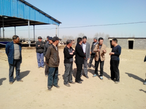 beat365官网教师为奶牛养殖户举办科技培训