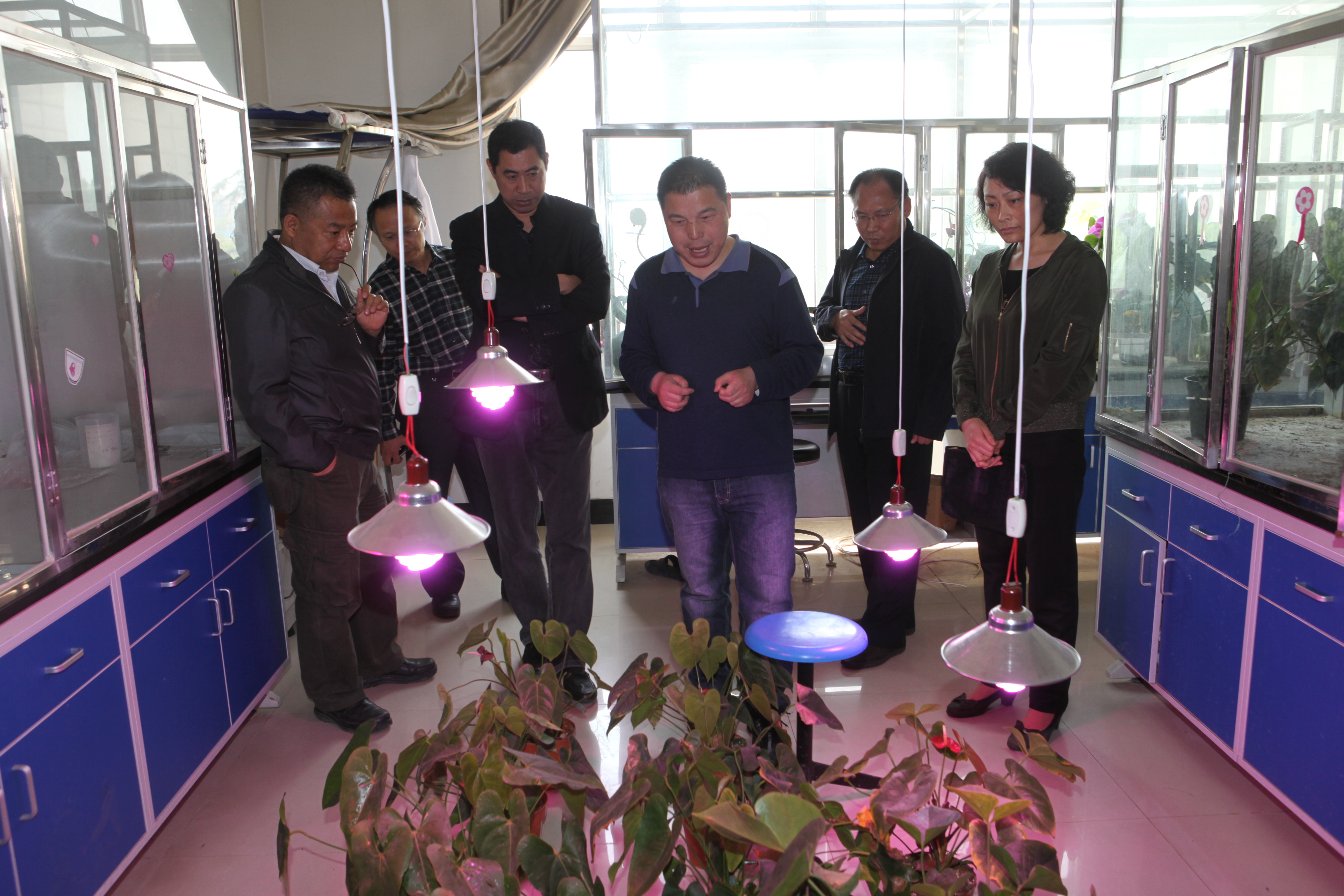 beat365官网两项唐山市重点实验室项目顺利通过专家验收