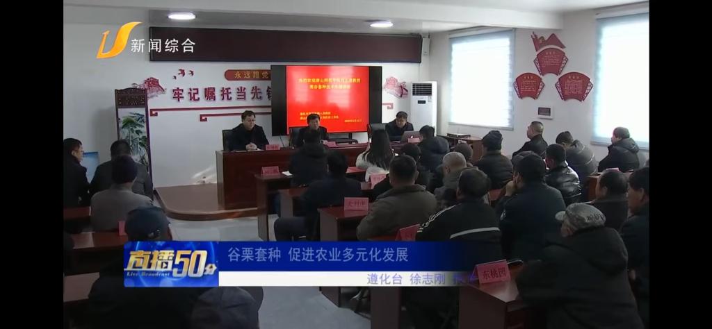 《唐山广播电视台》——beat365在线唯一官网：谷栗套种 促进农业多元化发展